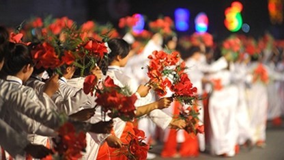 The 3rd Red Flamboyant Festival 2014 opens - ảnh 1